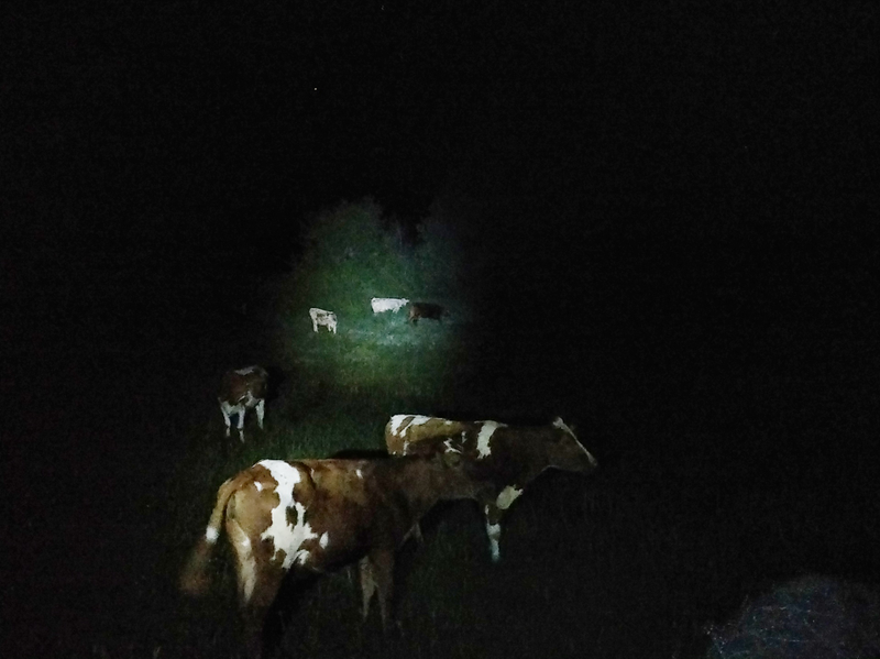 Illustration for article titled 1750 +/- miles over the last three days, all of it trailering...